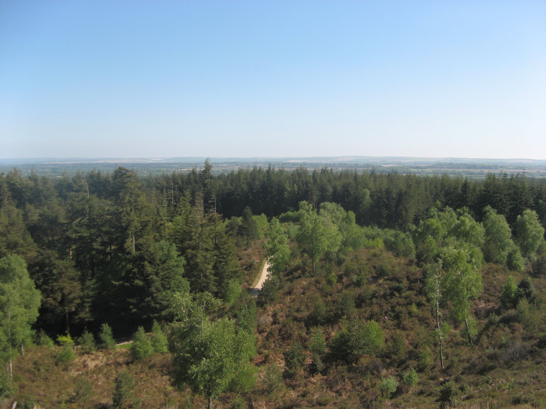 This image may be subject to copyright