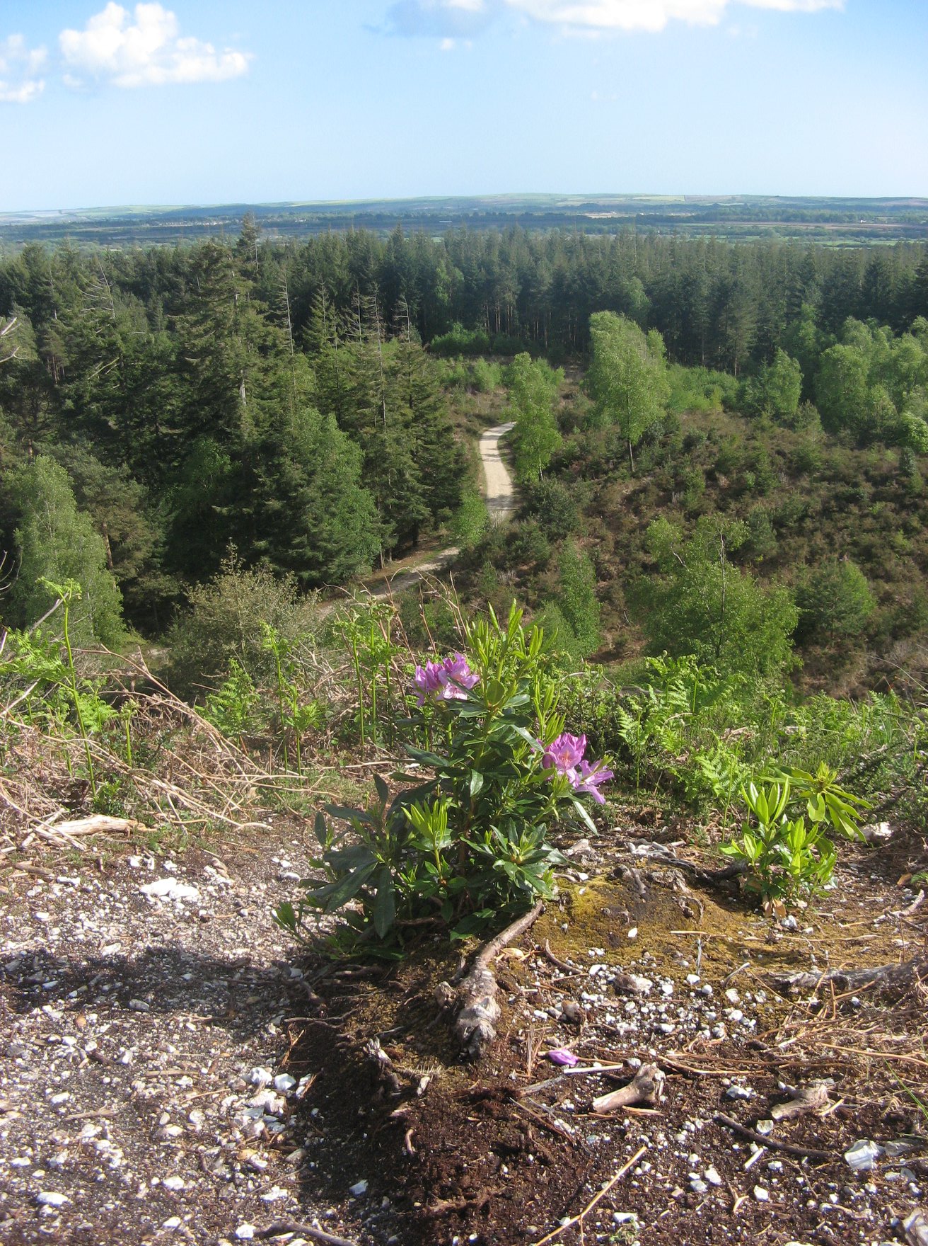 This image may be subject to copyright