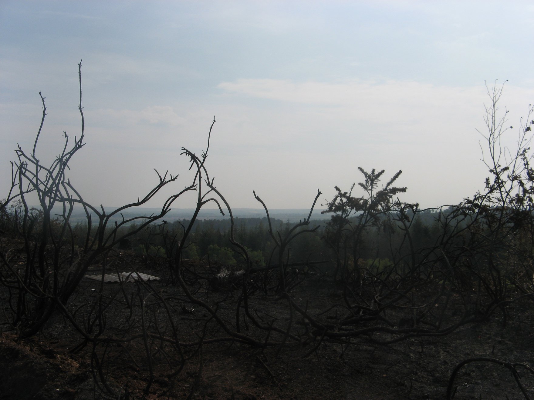 This image may be subject to copyright