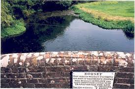 This image may be subject to copyright