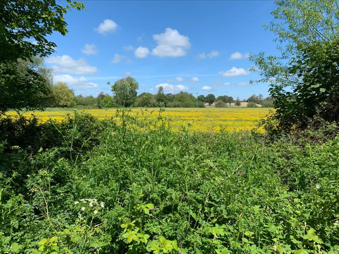 This image may be subject to copyright